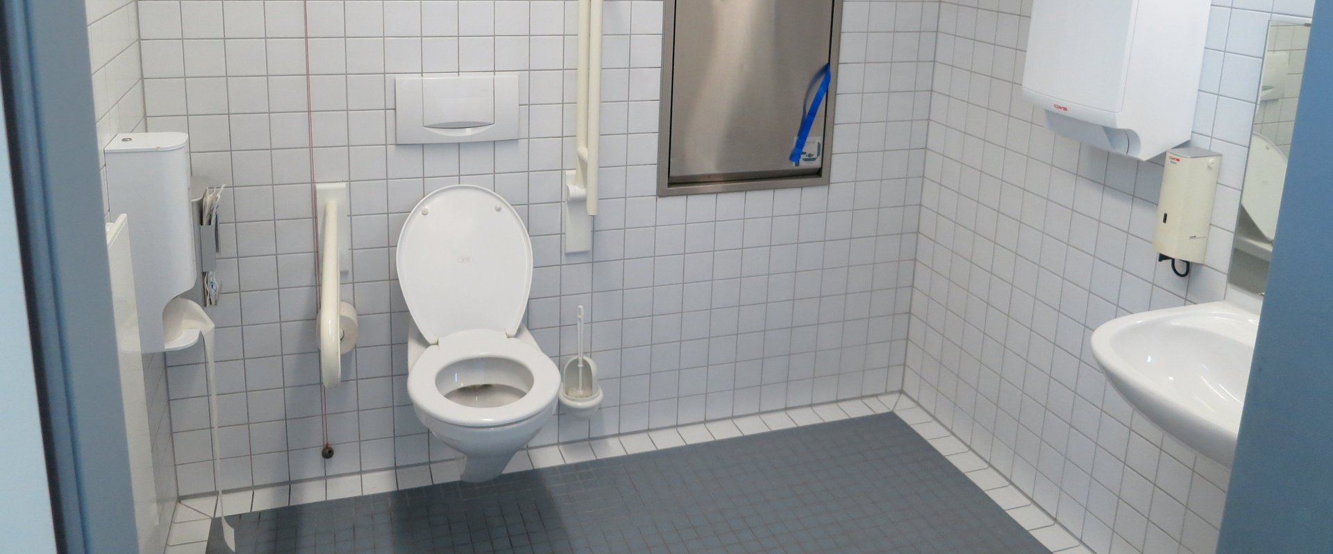 Behindertentoilette. Foto: Andy/Pixabay
