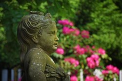 Frühsommer im Oldenburger Schlossgarten. Foto: Hans-Jürgen Zietz