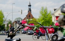 Fahrräder, Fußgänger und Autos in Oldenburg. Foto: Peter Duddek