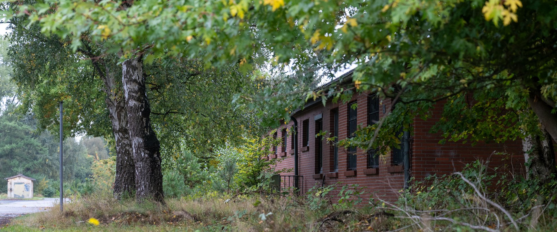Natur mit Rückzugsräumen für Wildtiere. Foto: Sascha Stüber