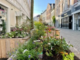 Ein bepflanztes Hochbeet in der Haarenstraße. Foto: OTM
