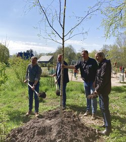 Oberbürgermeister Jürgen Krogmann, Ulf Prange, Thorsten Logemann und Wolfgang Huesmann pflanzen den ersten Baum. Foto: Stadt Oldenburg Oberbürgermeister Jürgen Krogmann, Ulf Prange, Thorsten Logemann und Wolfgang Huesmann pflanzen den ersten Baum. Foto: Stadt Oldenburg