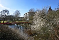 Schlehdorn in den Wallanlagen. Foto: Hans-Jürgen Zietz.  