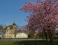 Das Oldenburger Schloss im Frühlingsschmuck