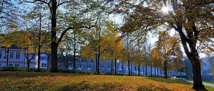 Herbst in den Wallanlagen. Foto: Hans-Jürgen Zietz