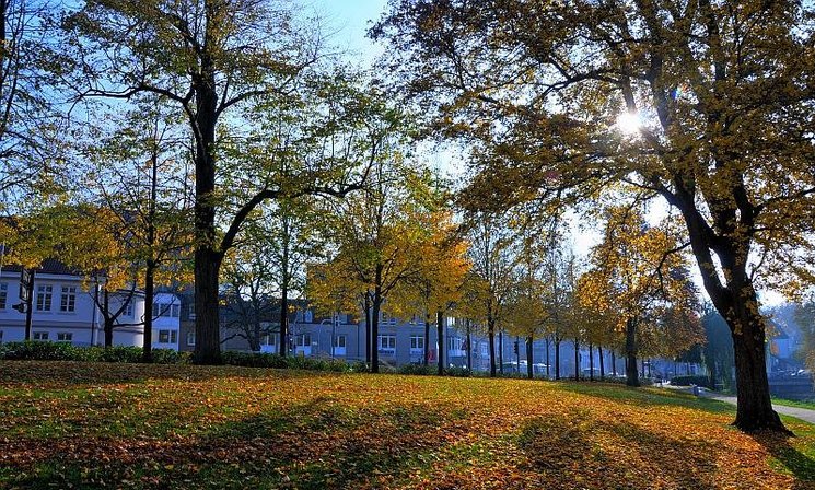 Herbst in den Wallanlagen. Foto: Hans-Jürgen Zietz