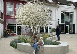 So wird die neue Pflanzung bald in voller Blüte erstrahlen. Grafik: KI-generiert durch Stadt Oldenburg