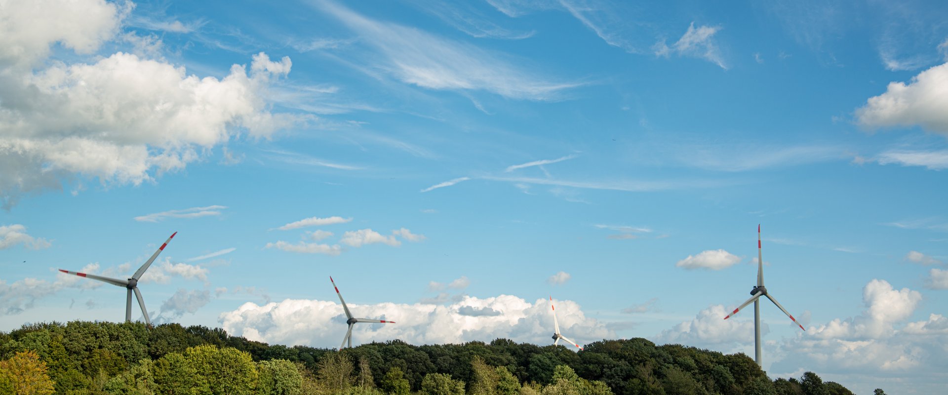 Acker mit Windrädern. Foto: Mittwollen und Gradetchliev