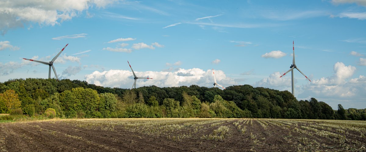 Acker mit Windrädern. Foto: Mittwollen und Gradetchliev