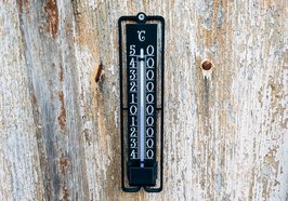 Thermometer an Baumstamm. Foto: Markus Winkler/unsplash