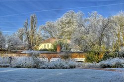 Weihnachtlicher Wintertag im Oldenburger Schlossgarten. Foto: Hans-Jürgen Zietz