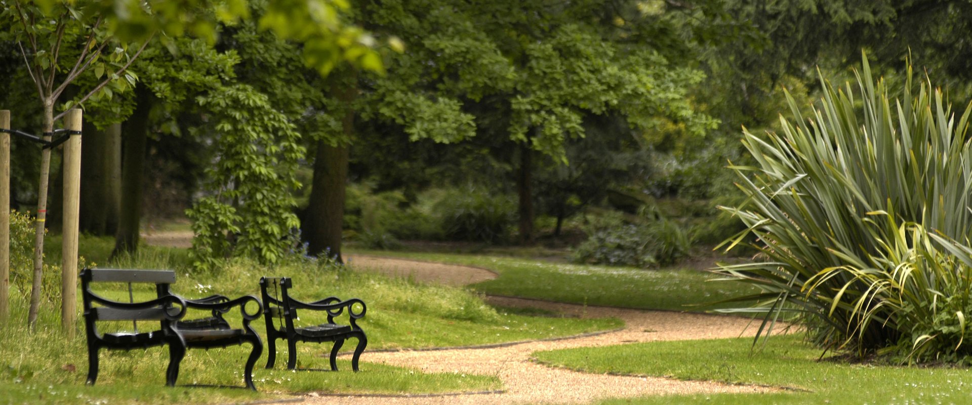 Garden in Kingston upon Thames. @Kingston upon Thames