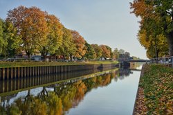 Herbstbunte Stadtbäume an der Cäcilienbrücke. Foto: Hans-Jürgen Zietz