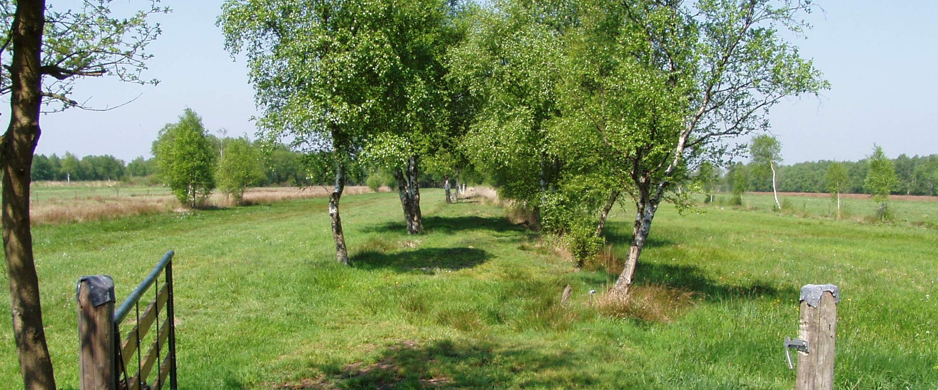 Moorplacken. Foto: Stadt Oldenburg