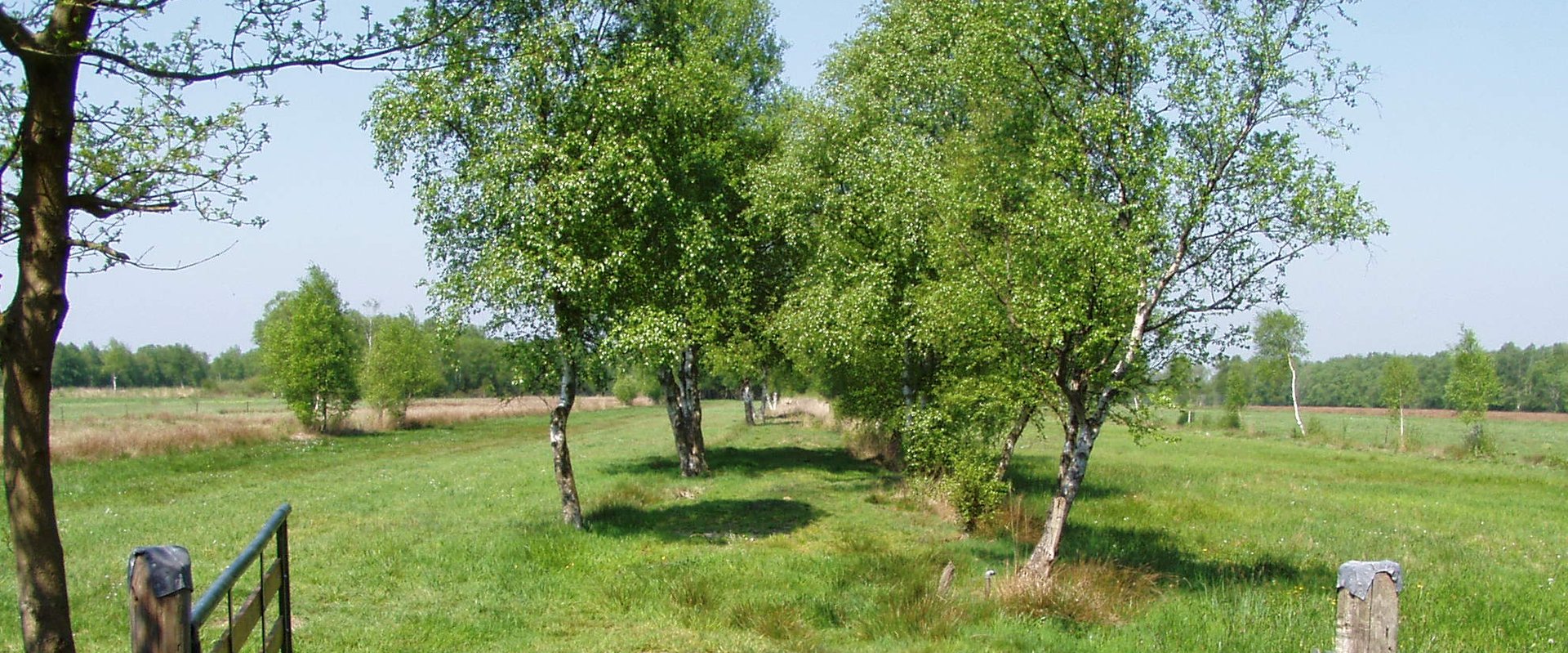Moorplacken. Foto: Stadt Oldenburg