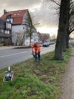Lanze zur Belüftung der Wurzeln. Foto: Stadt Oldenburg Lanze zur Belüftung der Wurzeln. Foto: Stadt Oldenburg