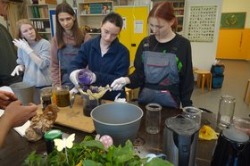 Teilnehmerinnen der Oldenburger Jugendwerkstatt beim Filtern von Pflanzfarbe aus Rotkohl. Foto: Stadt Oldenburg