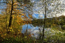Buntes Herbstlaub am Bürgerfelder Teich in Oldenburg. Foto: Hans-Jürgen Zietz