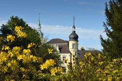 Blühende Azaleen vor dem Oldenburger Schloss. Foto: Hans-Jürgen Zietz