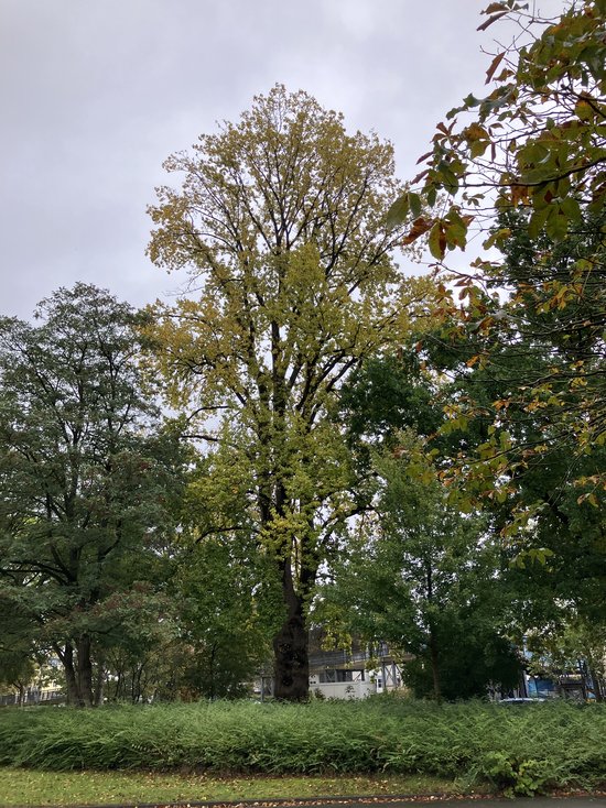 Foto: Stadt Oldenburg