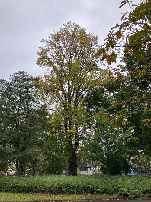 Foto: Stadt Oldenburg