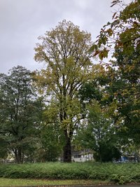 Foto: Stadt Oldenburg