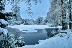 Der Oldenburger Schlossgarten im Winterkleid: Foto: Hans-Jürgen Zietz Der Oldenburger Schlossgarten im Winterkleid: Foto: Hans-Jürgen Zietz