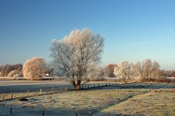 Wintermorgen in der Buschhagenniederung in Oldenburg. Foto: Hans-Jürgen Zietz 