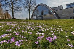 Blütenteppich vor der Weser-Ems-Halle. Foto: Hans-Jürgen Zietz