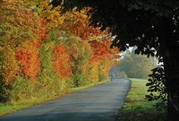 Farbfeuerwerk am Achterndiek