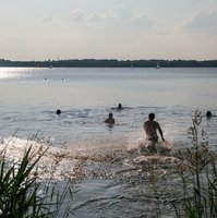 Schwimmer im See. Foto: Tobias Tullius/unsplash