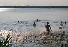 Schwimmer im See. Foto: Tobias Tullius/unsplash
