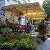 Vorschau: Blumen und Pflanzen auf dem Wochenmarkt in Eversten. Foto: Sascha Stüber