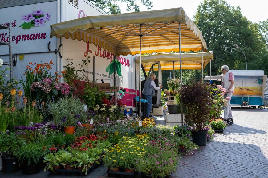 Blumen und Pflanzen auf dem Wochenmarkt in Eversten. Foto: Sascha Stüber