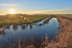Überflutung Bornhorster Huntewiesen. Foto: Hans-Jürgen Zietz.