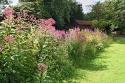 Bunte Sommerblumen im Oldenburger Schlossgarten. Foto: Hans-Jürgen Zietz