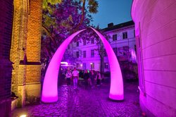 Eindrücke vom Oldenburger Stadtfest 2025. Foto: Hans-Jürgen Zietz