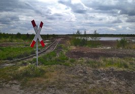 Vehnemoor Andreaskreuz. Foto: Thilo Kowalsky