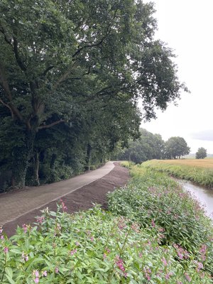 Mehr Hochwasserschutz für Bümmerstede und Kreyenbrück: Mitte Juli wurde der Fuß- und Radweg am Parkfriedhof erhöht. Foto: Stadt Oldenburg