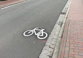 Fahrradpiktogramm auf der Fahrbahn. Foto: Stadt Oldenburg