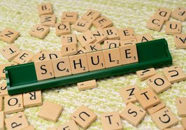 Buchstabensteinen die das Wort Schule bilden. Foto: Markus Winkler/Pexels