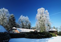 Wintertag im Oldenburger Schlossgarten (2012). Foto: Hans-Jürgen Zietz