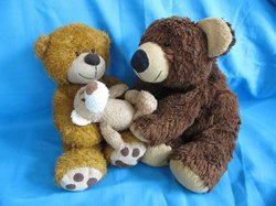 Kuschelige Teddybärenfamilie. Foto: Olga Meier/Pixelio