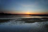 Überstautes Feuchtgrünland im Moorhauser Polder. Foto: Hans-Jürgen Zietz