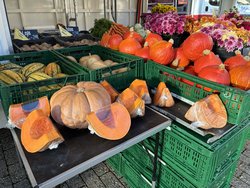 Kürbisse an einem Marktstand auf dem Wochenmarkt. Foto: Stadt Oldenburg