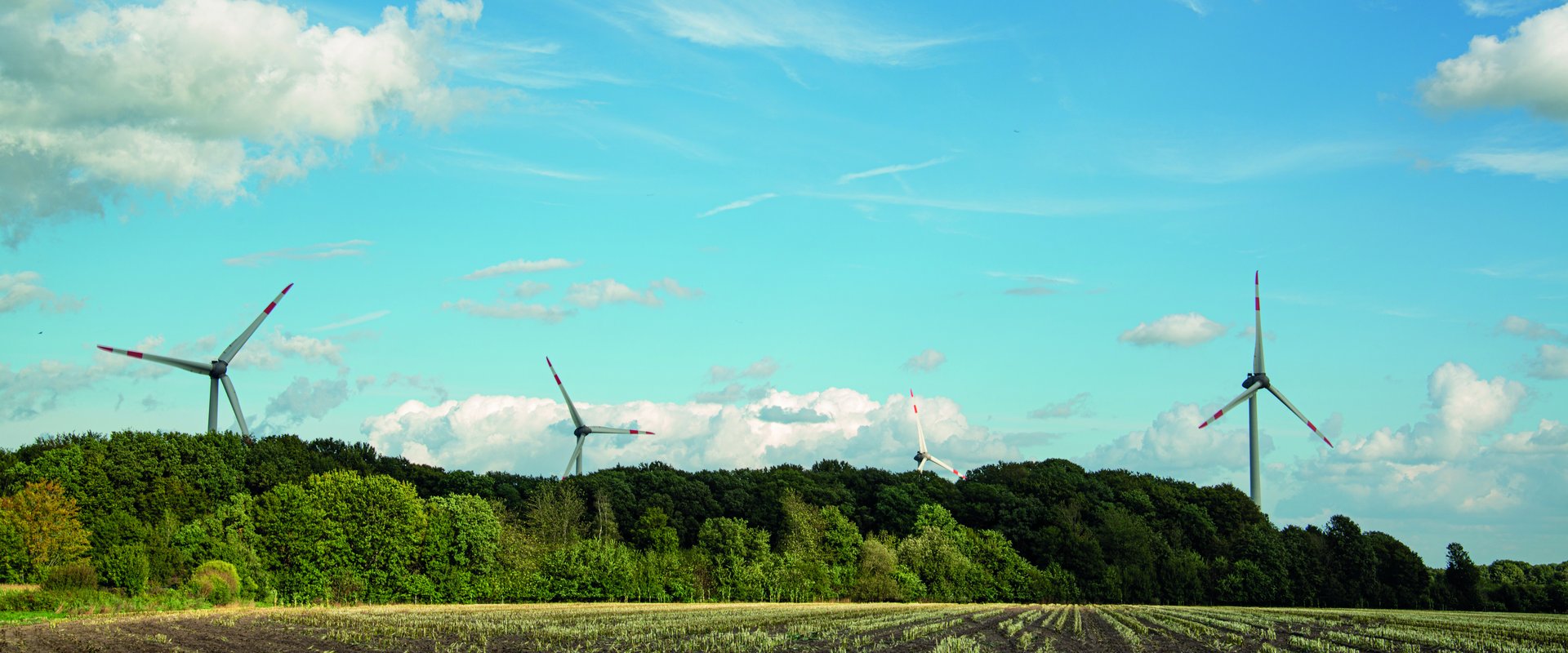 Windräder vor blauem Himmel am Rande eines Waldes. Foto: Mittwollen und Gradetchliev