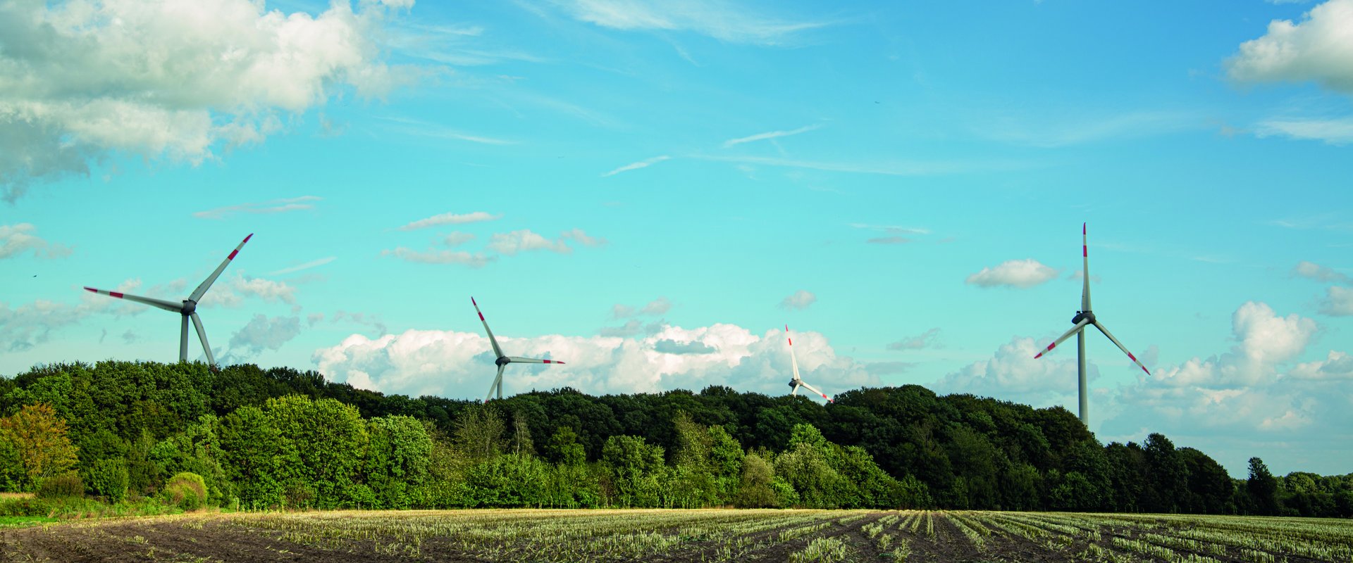Windräder vor blauem Himmel am Rande eines Waldes. Foto: Mittwollen und Gradetchliev