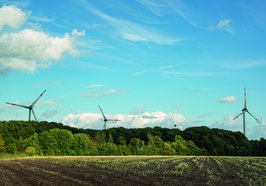 Windräder vor blauem Himmel am Rande eines Waldes. Foto: Mittwollen und Gradetchliev