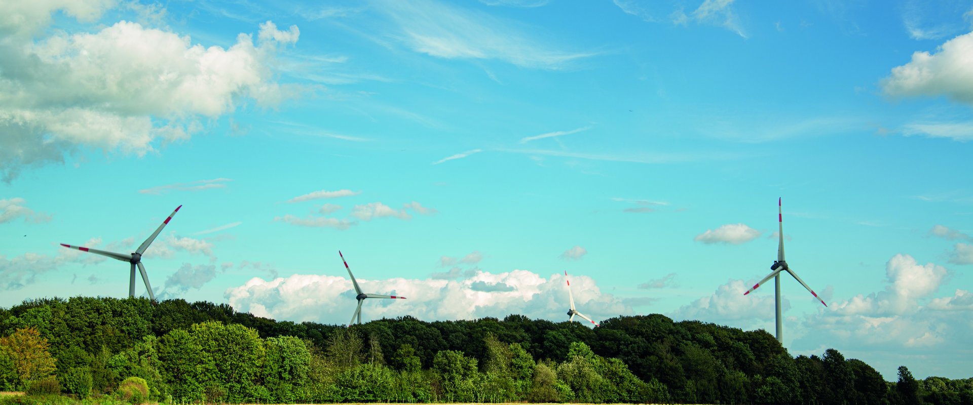 Windräder vor blauem Himmel am Rande eines Waldes. Foto: Mittwollen und Gradetchliev