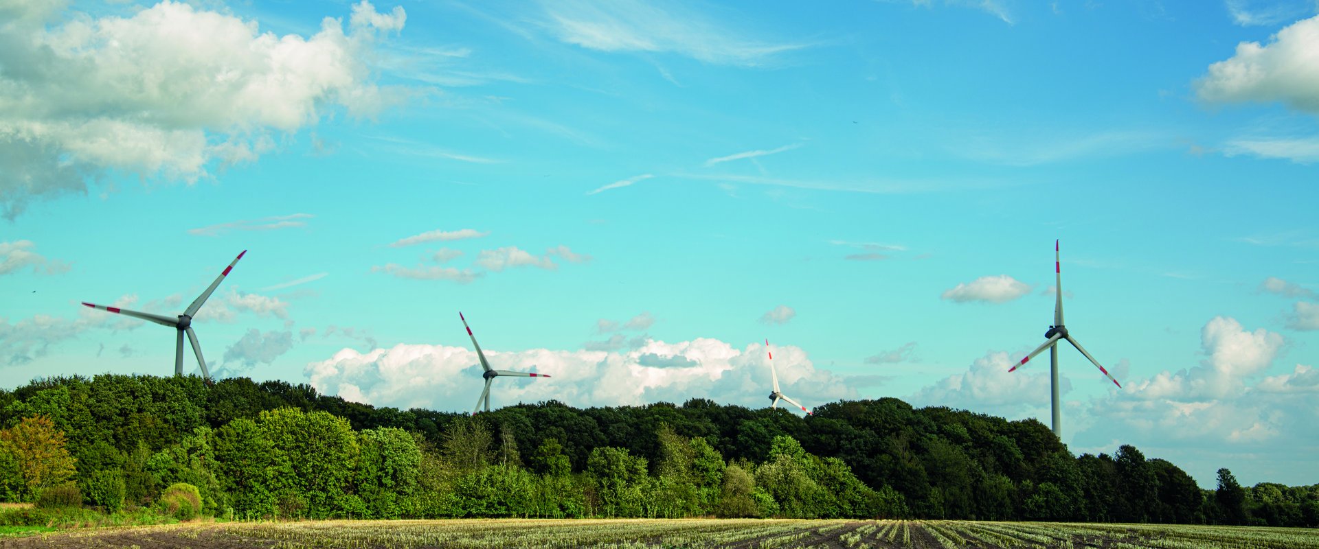 Windräder vor blauem Himmel am Rande eines Waldes. Foto: Mittwollen und Gradetchliev